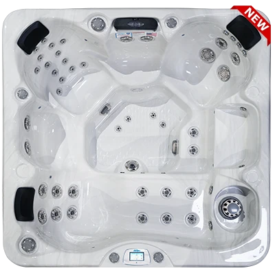 Avalon-X EC-849LX hot tubs for sale in Albany