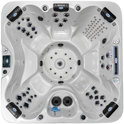 Laguna PL-793B hot tubs for sale in Albany